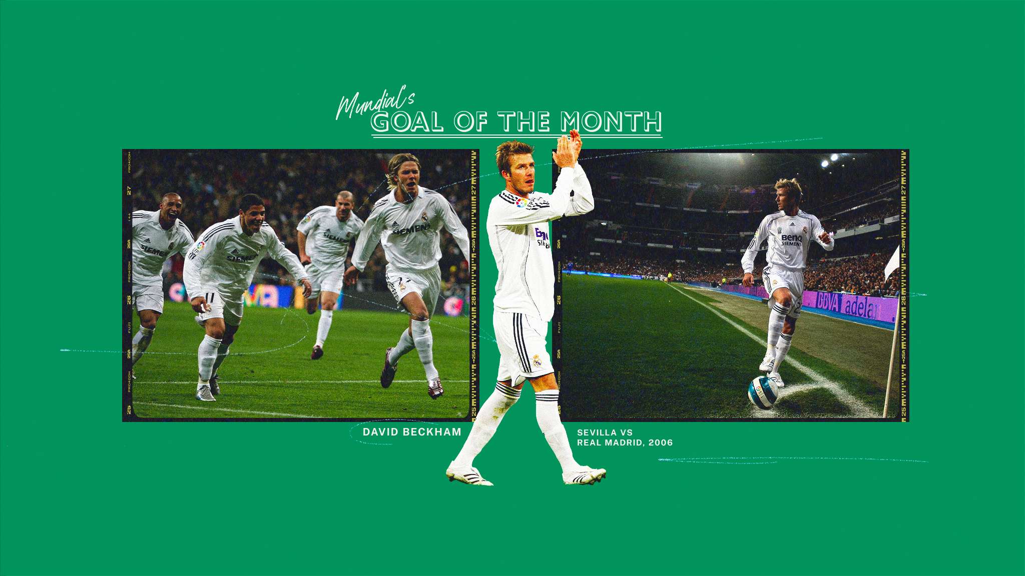 新的重视 新的重视